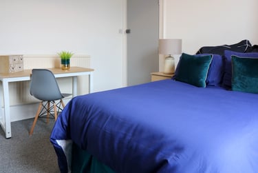 6 bed house, Houndiscombe Road, Mutley, Plymouth, PL46HB - Image 5